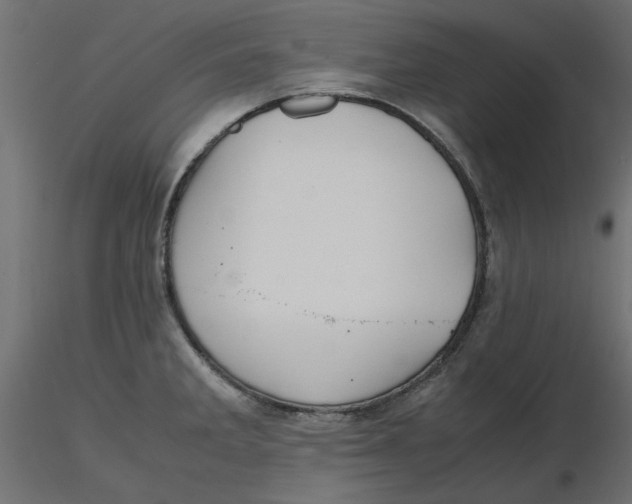 X0000116621285200912312131