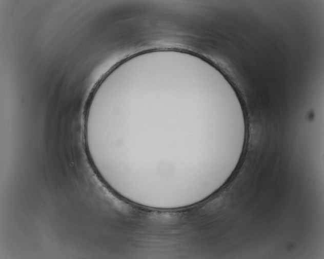 X0000116621286200912312131