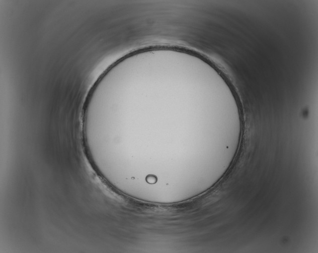 X0000116621287200912312131