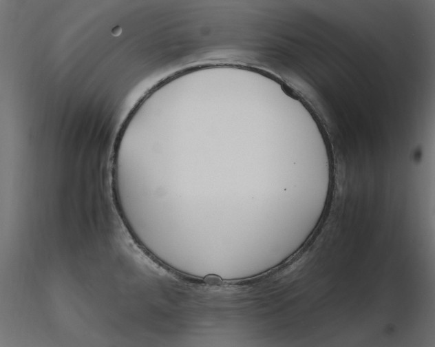 X0000116621288200912312131