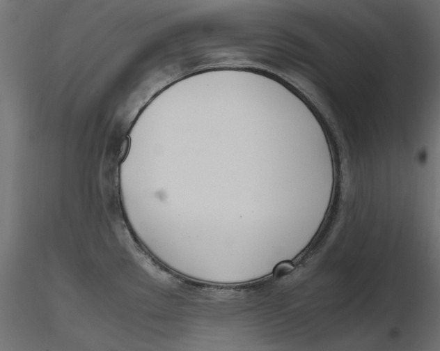 X0000116621289200912312131