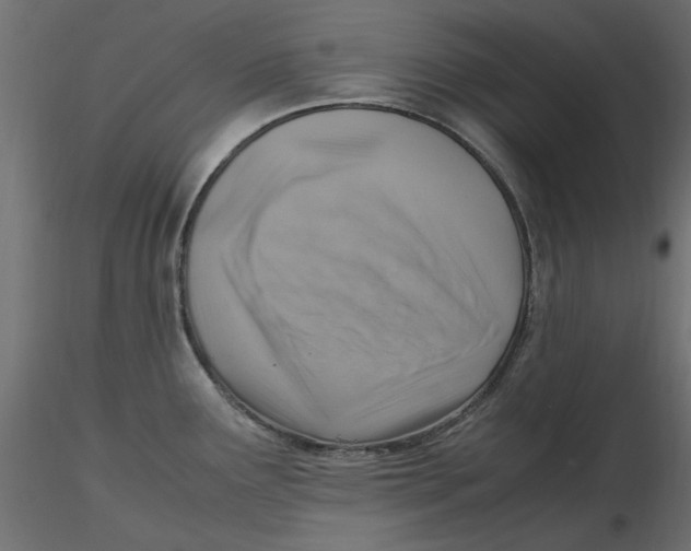 X0000116621291200912312131