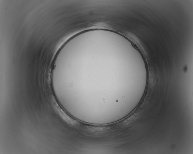 X0000116621292200912312131