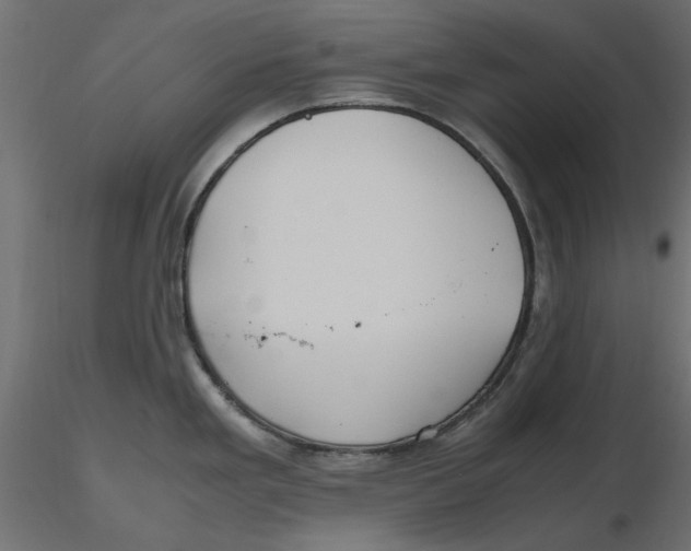 X0000116621293200912312131