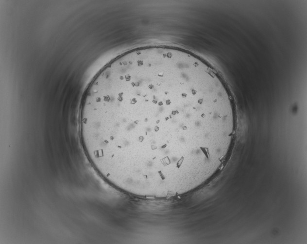 X0000116621294200912312131