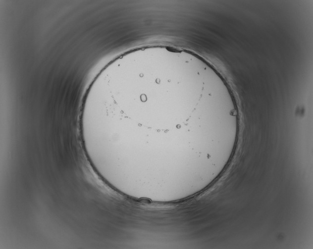 X0000116621296200912312131