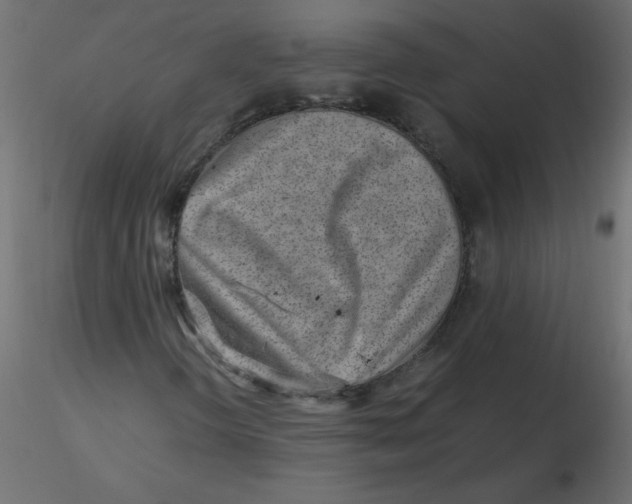 X0000116621298200912312130