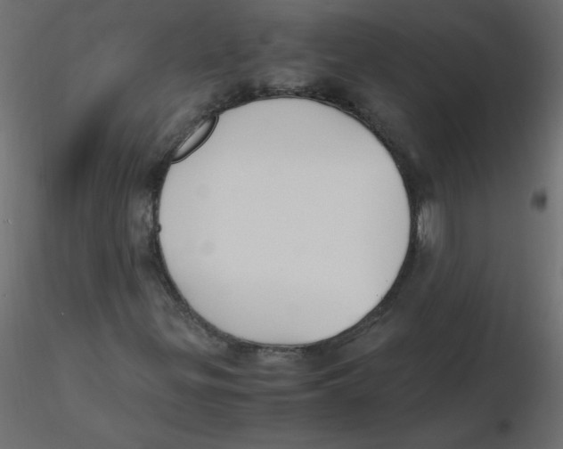 X0000116621299200912312130