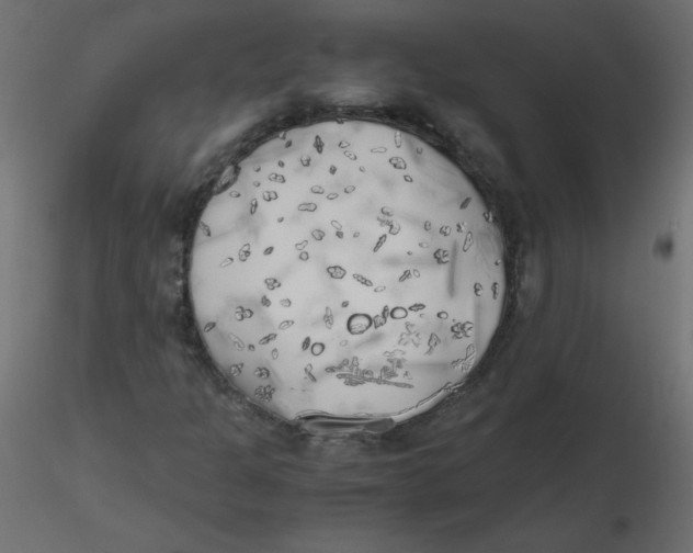 X0000116621301200912312130