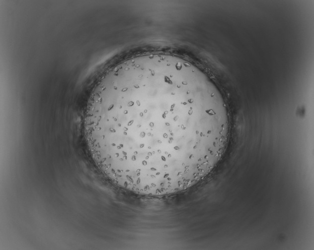 X0000116621302200912312130