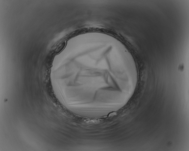 X0000116621303200912312130