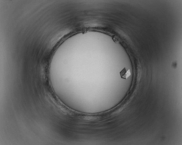 X0000116621305200912312130