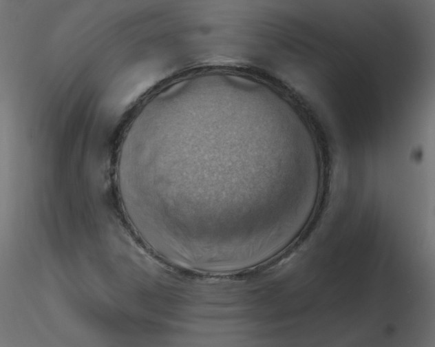 X0000116621306200912312130