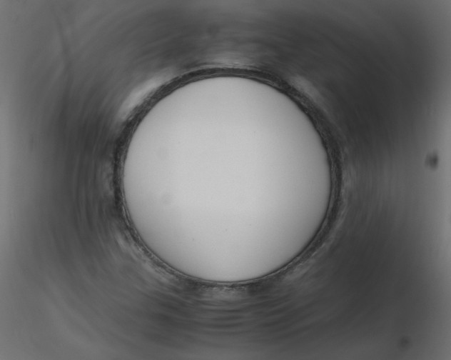 X0000116621307200912312130