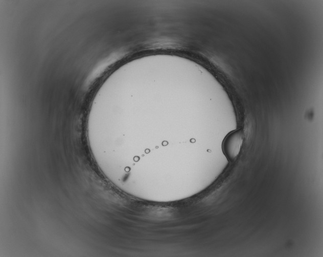 X0000116621309200912312130