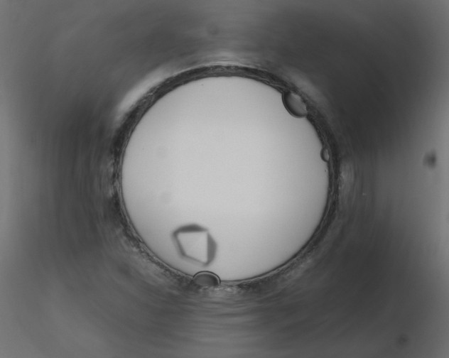 X0000116621310200912312130