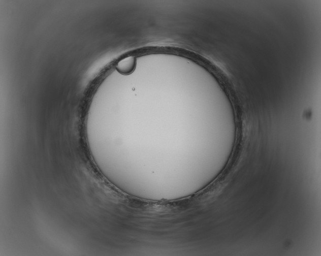 X0000116621311200912312130