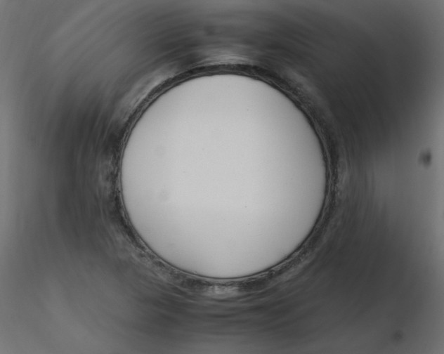 X0000116621313200912312130