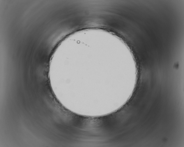 X0000116621314200912312130