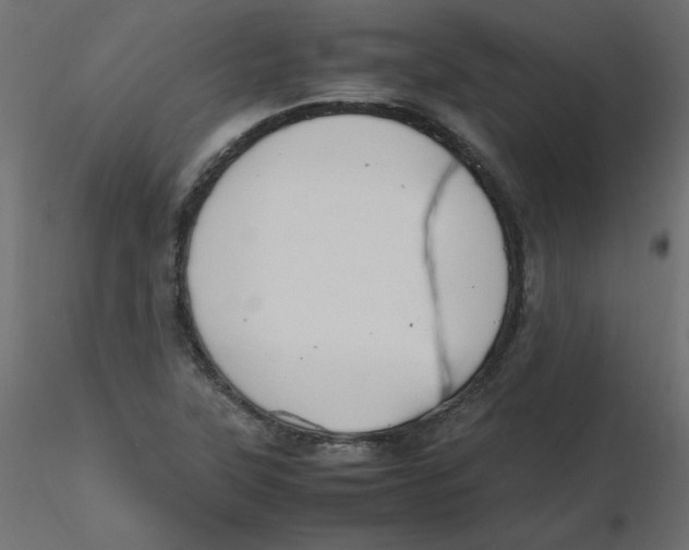 X0000116621315200912312130