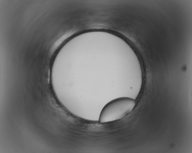 X0000116621317200912312130