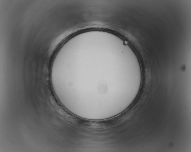 X0000116621318200912312130