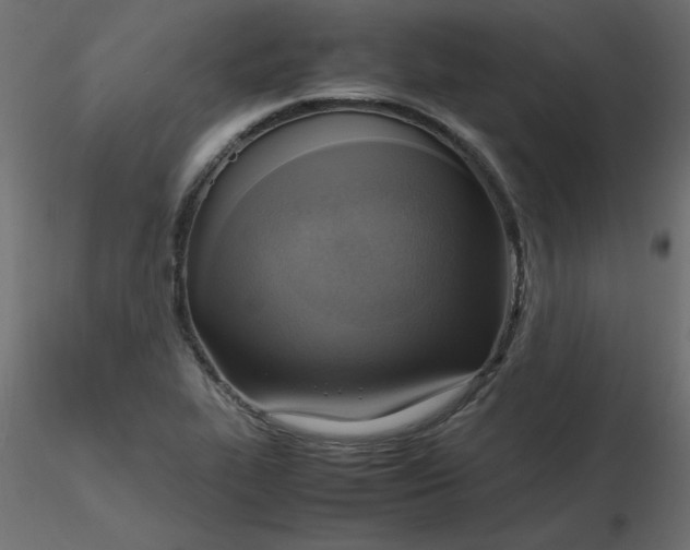 X0000116621319200912312130