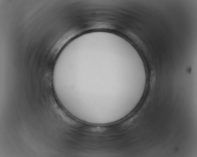 X0000116621321200912312130