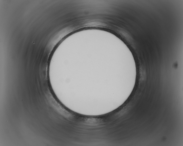 X0000116621322200912312130