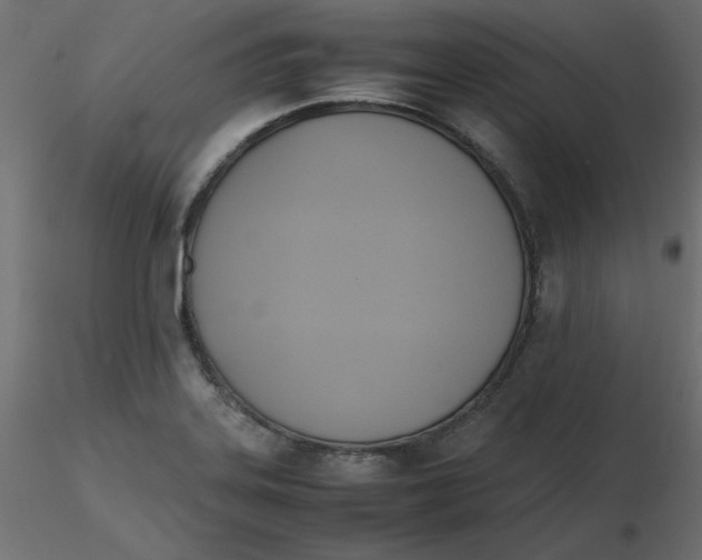 X0000116621323200912312131