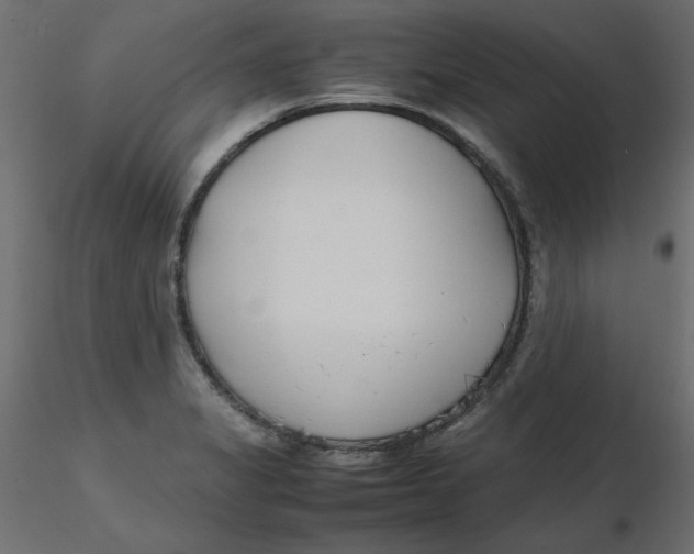 X0000116621325200912312131