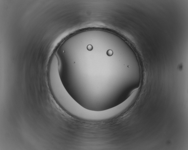 X0000116621326200912312131