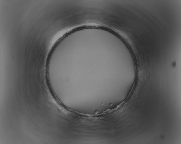 X0000116621327200912312131