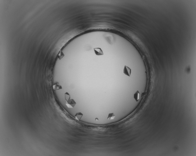 X0000116621329200912312131