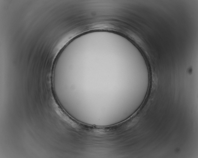 X0000116621330200912312131