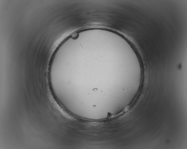 X0000116621333200912312131