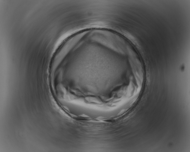 X0000116621334200912312131