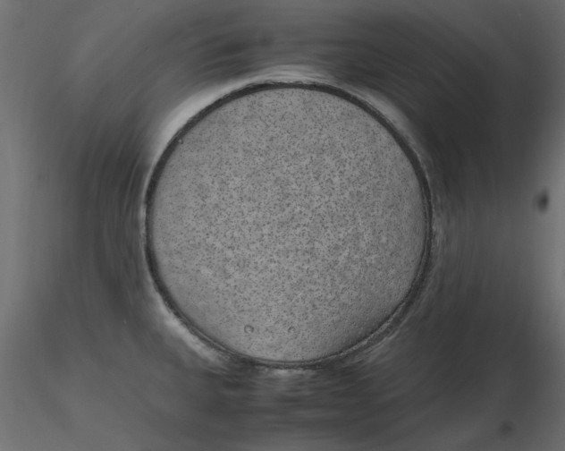 X0000116621335200912312131