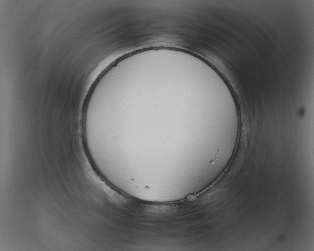 X0000116621339200912312131