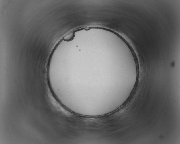 X0000116621341200912312131