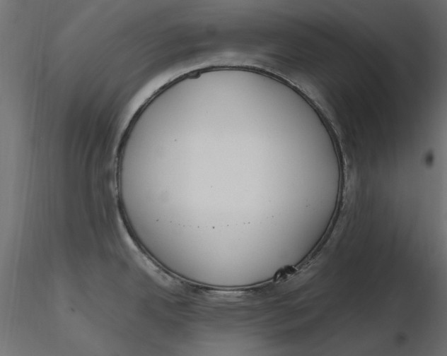 X0000116621342200912312131