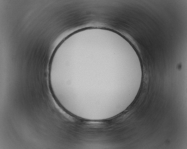 X0000116621343200912312131