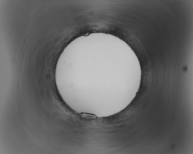 X0000116621345200912312130