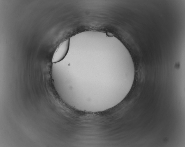 X0000116621346200912312130