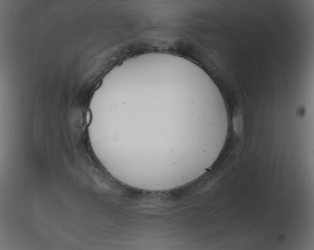 X0000116621347200912312130