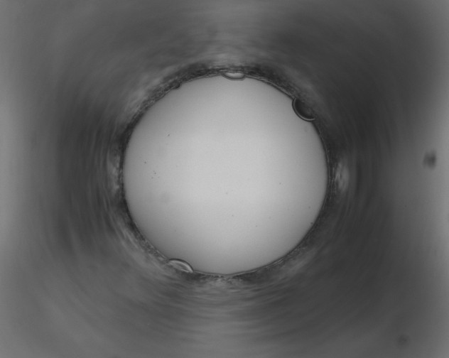 X0000116621348200912312130