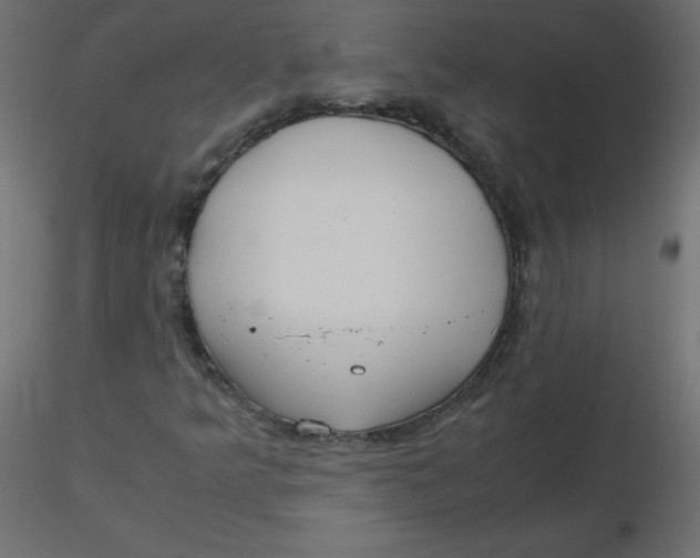 X0000116621349200912312130