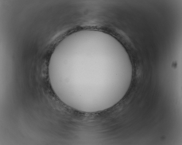 X0000116621350200912312130