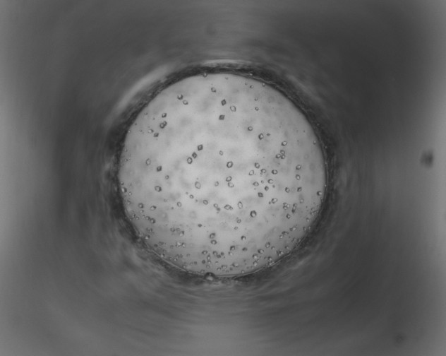 X0000116621351200912312130