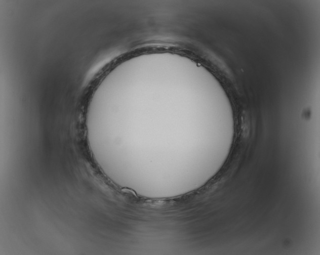 X0000116621352200912312130